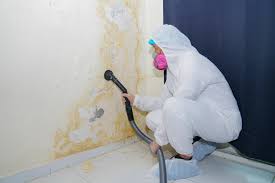 Best Real Estate Mold Inspection  in Lutherville, MD